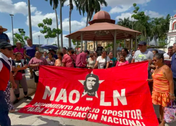 MAOLN pide revisión de caso y liberación