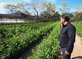 ERA presenta Restauración y Saneamiento de Microcuencas 