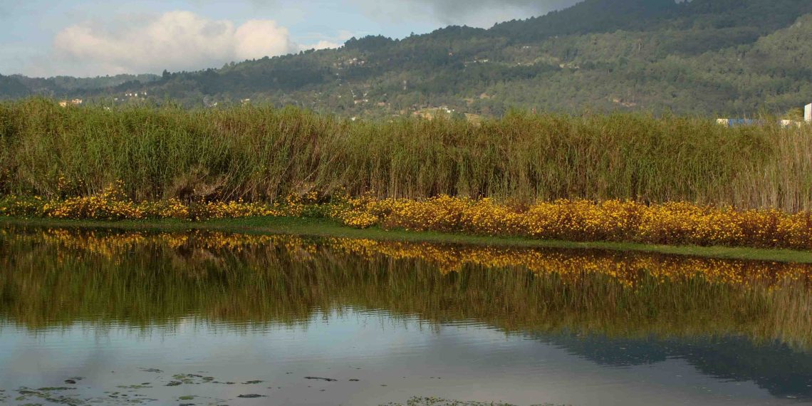 La deforestación reduce humedales en Chiapas