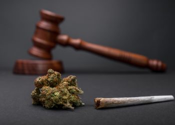 Insisten en no penalizar el uso de la marihuana