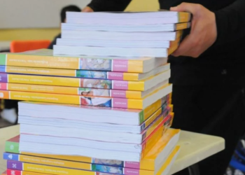 Salida de Marx Arriaga destapa crisis en la SEP 