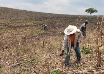 Los campesinos de Suchiate piden agua para sus cultivos