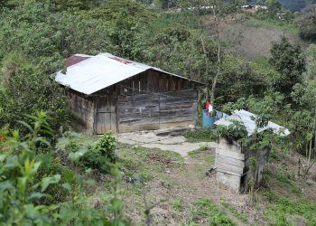 Riesgo hídrico en el Soconusco por tala