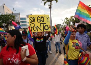 Terapias de conversión exigen control efectivo