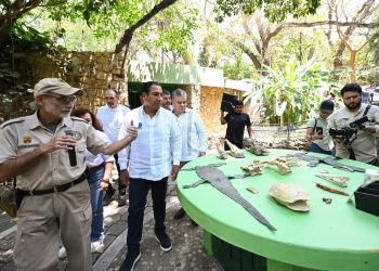 Conservación de biodiversidad, prioridad impostergable: ERA