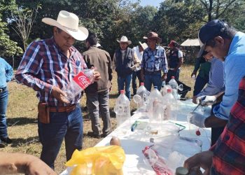 Trampas artesanales “Matrix” frenan al gusano barrenador