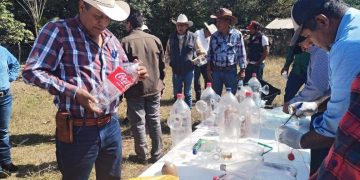 Trampas artesanales “Matrix” frenan al gusano barrenador