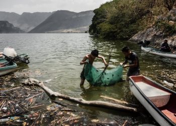 Humedales en riesgo por descargas tóxicas
