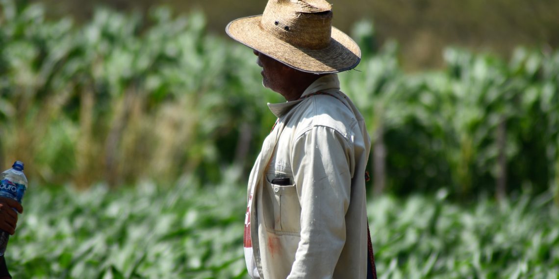 Conservación: Reto de zona en la frontera y pacífico sur