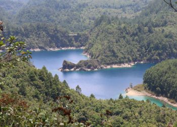 Áreas ambientales operan con carencias en la comarca