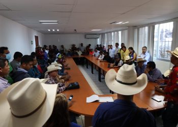 Selva chiapaneca mantiene 42 mil hectáreas en litigio