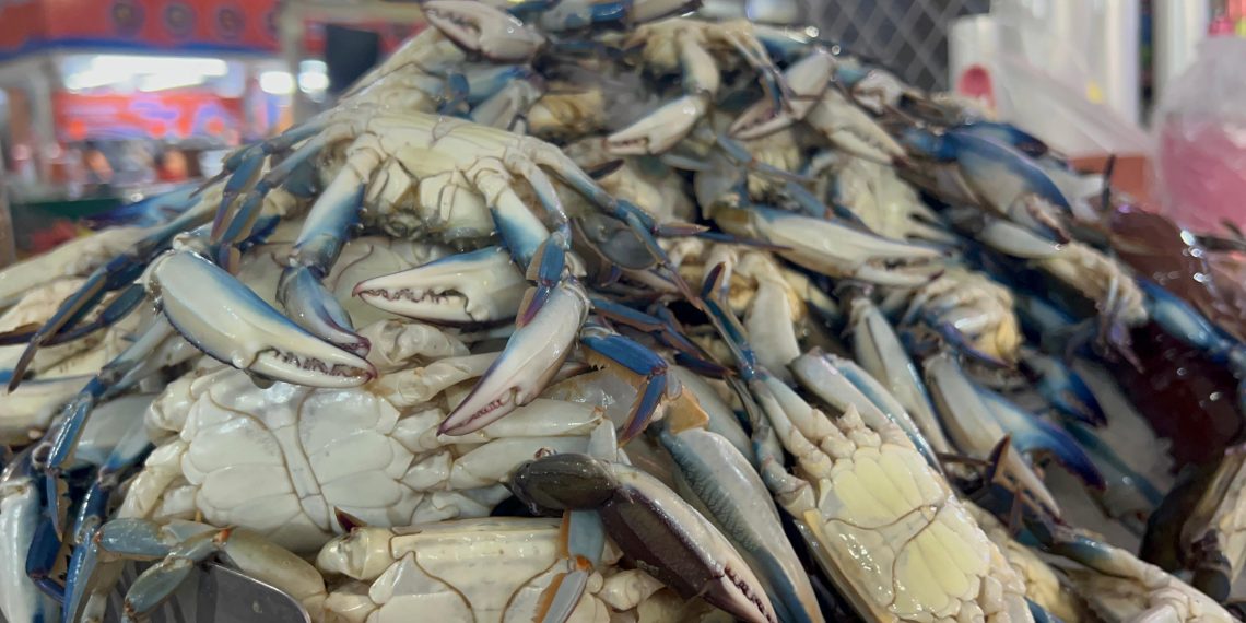 Precio de pollo y pescado se encarecen en Semana Santa