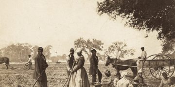 México deberá traducir a hechos el apoyo a condena de esclavitud