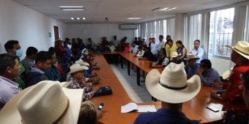 Carranza demanda atención para las disputas de tierras