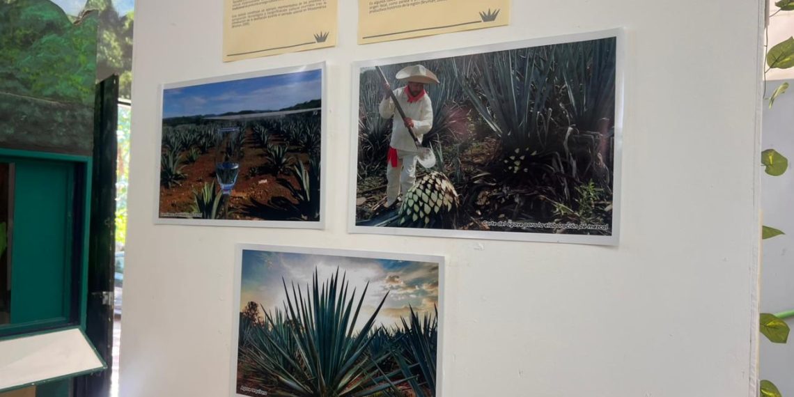 El espíritu de la meseta que conquista el mundo