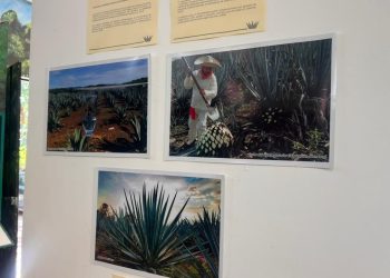 El espíritu de la meseta que conquista el mundo