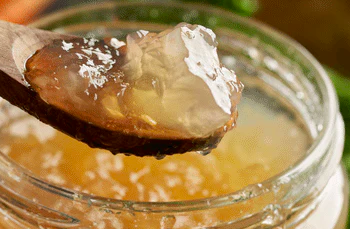 El renacer de los huesos: Caldo ancestral que desafía al tiempo