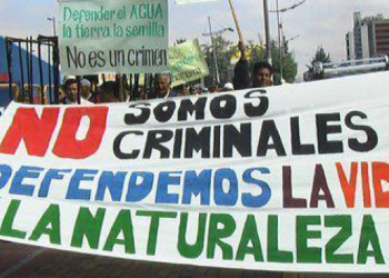 De 2015 a 2025, fueron asesinados 199 defensores