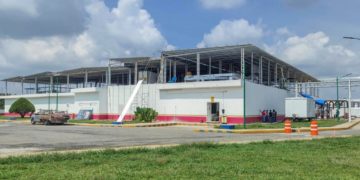 La fábrica de moscas que la Claudia inaugurará en Chiapas