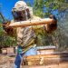 Abejas en riesgo ponen presión sobre alimentos