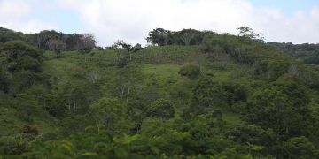 Denuncian ecocidio en la Meseta de Copoya