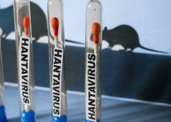 Salud emite aviso por brote multinacional de hantavirus