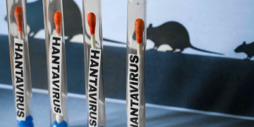Salud emite aviso por brote multinacional de hantavirus