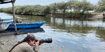 Selva El Ocote: Capital del aviturismo mundial