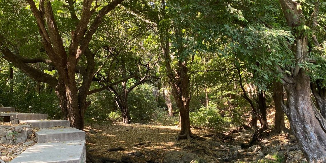 El Zapotal, cercado por la urbanización