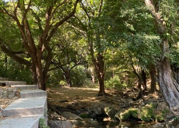 El Zapotal, cercado por la urbanización