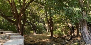 El Zapotal, cercado por la urbanización